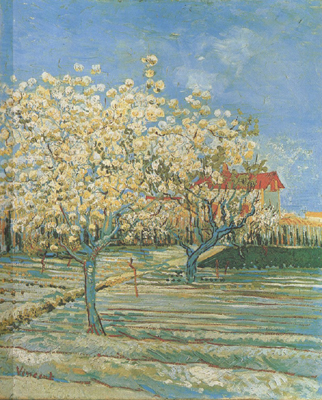 Orchard in Blossom (nn04)